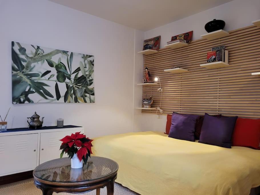 Apartment S- Loft With Balcony In The Historic Center