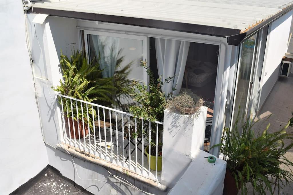 S- Loft With Balcony In The Historic Center Appartement